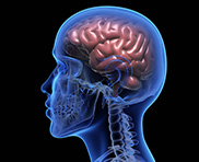 Conception de site web pour votre domaine psychologue